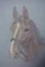 dsc04883.jpg