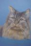 dsc04928.jpg