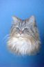 dsc04929.jpg