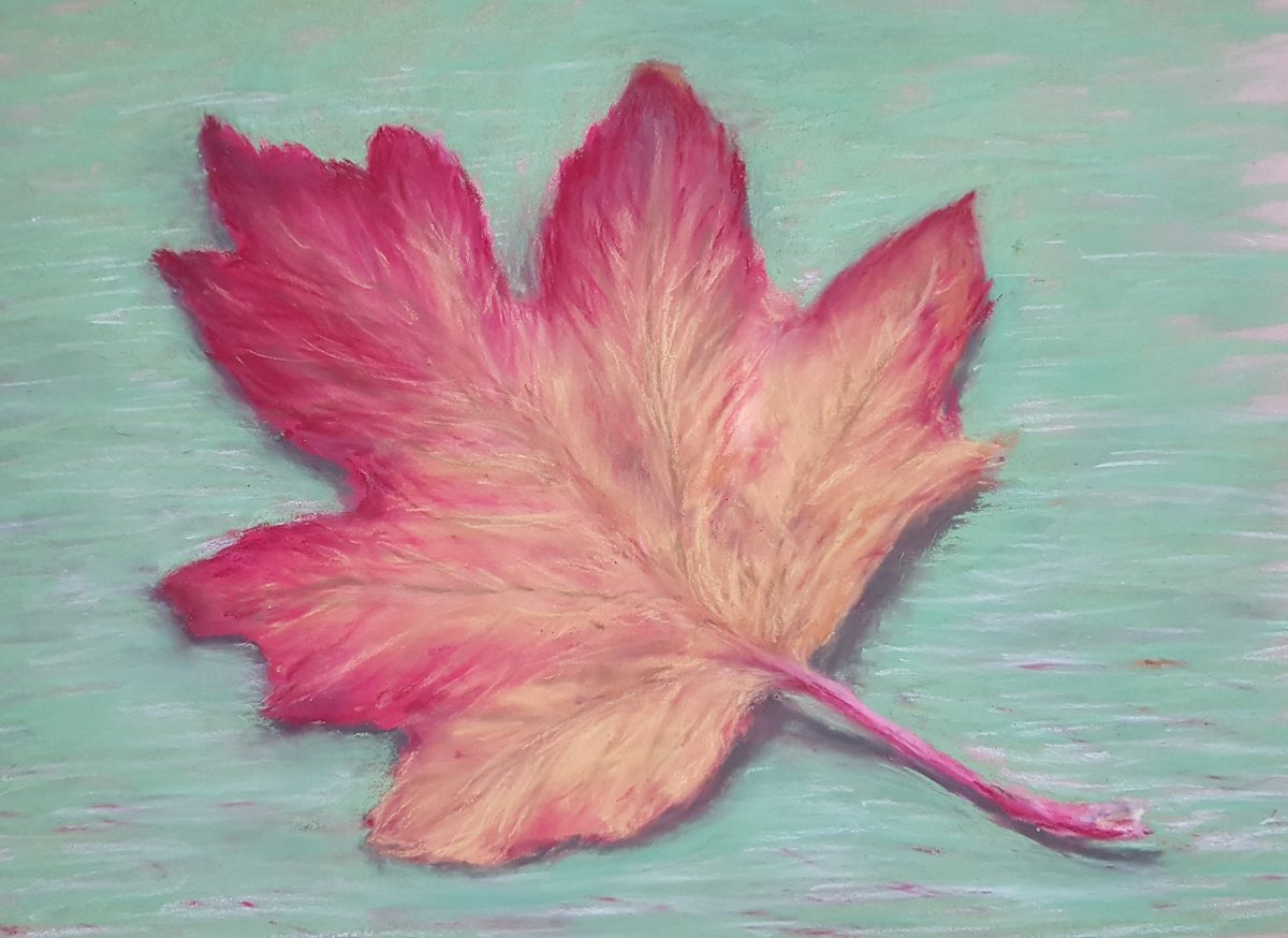 Bonte hortensia, pastel