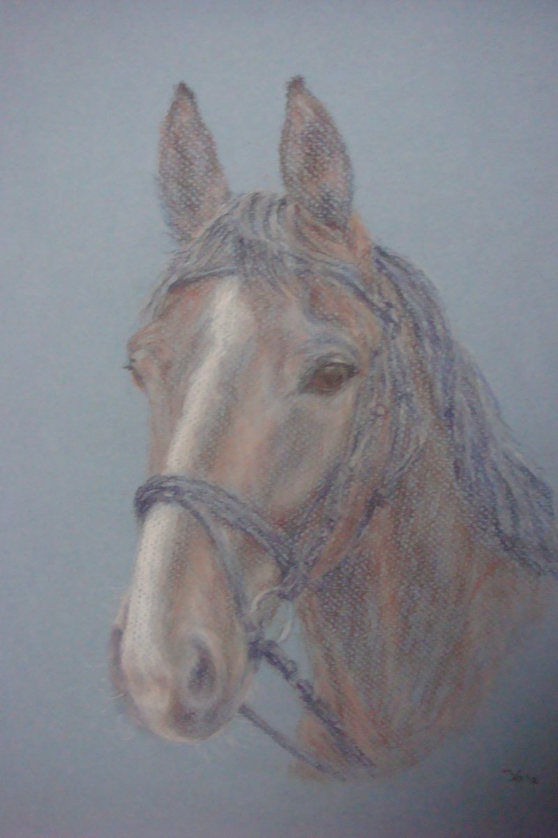 Omar, pastel