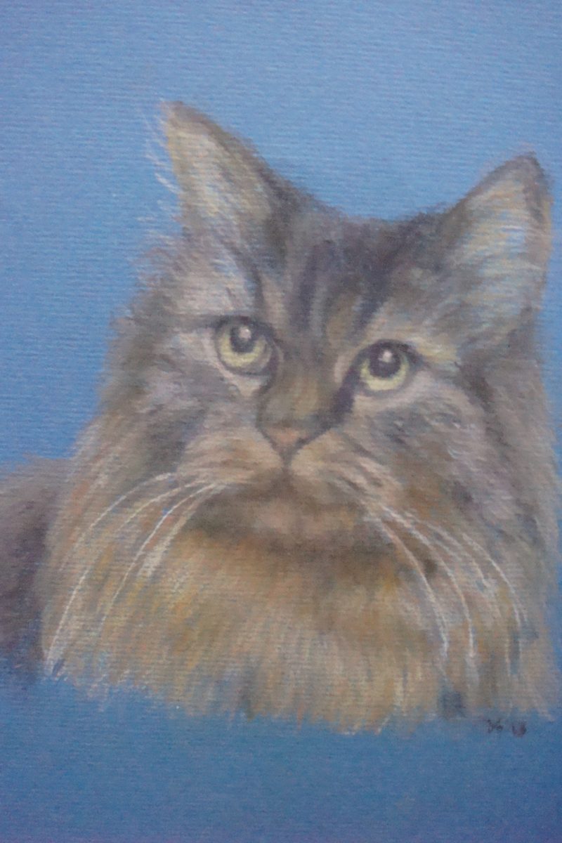 Raven, pastel
