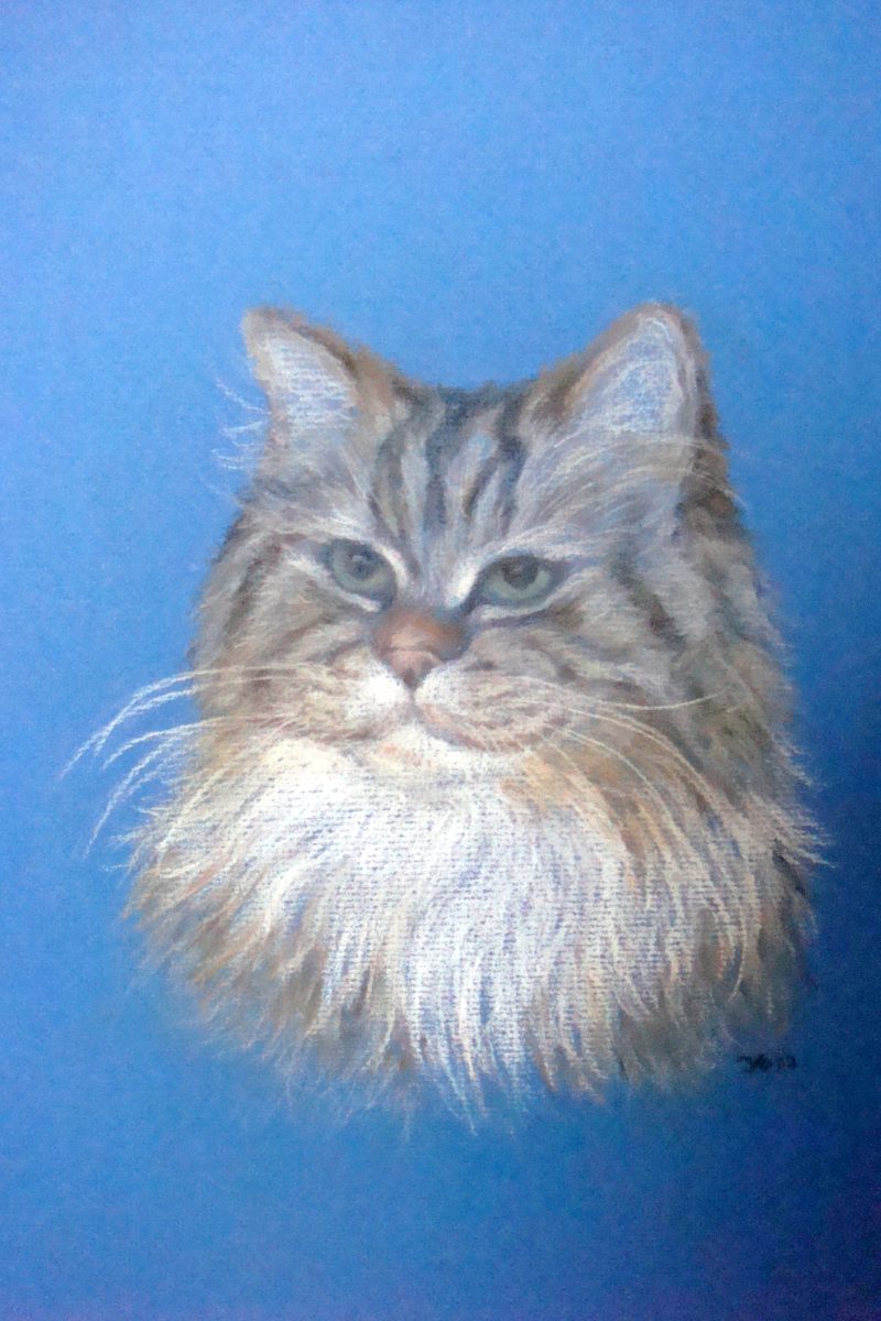 Rowan, pastel
